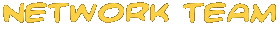 network team